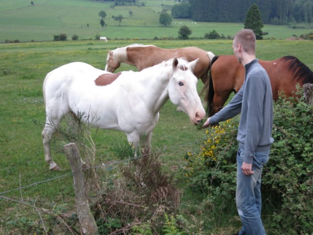 HWK Ardennes 2014 026.jpg